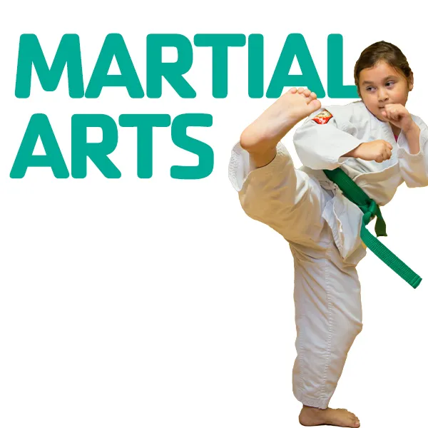Martial Arts Programs